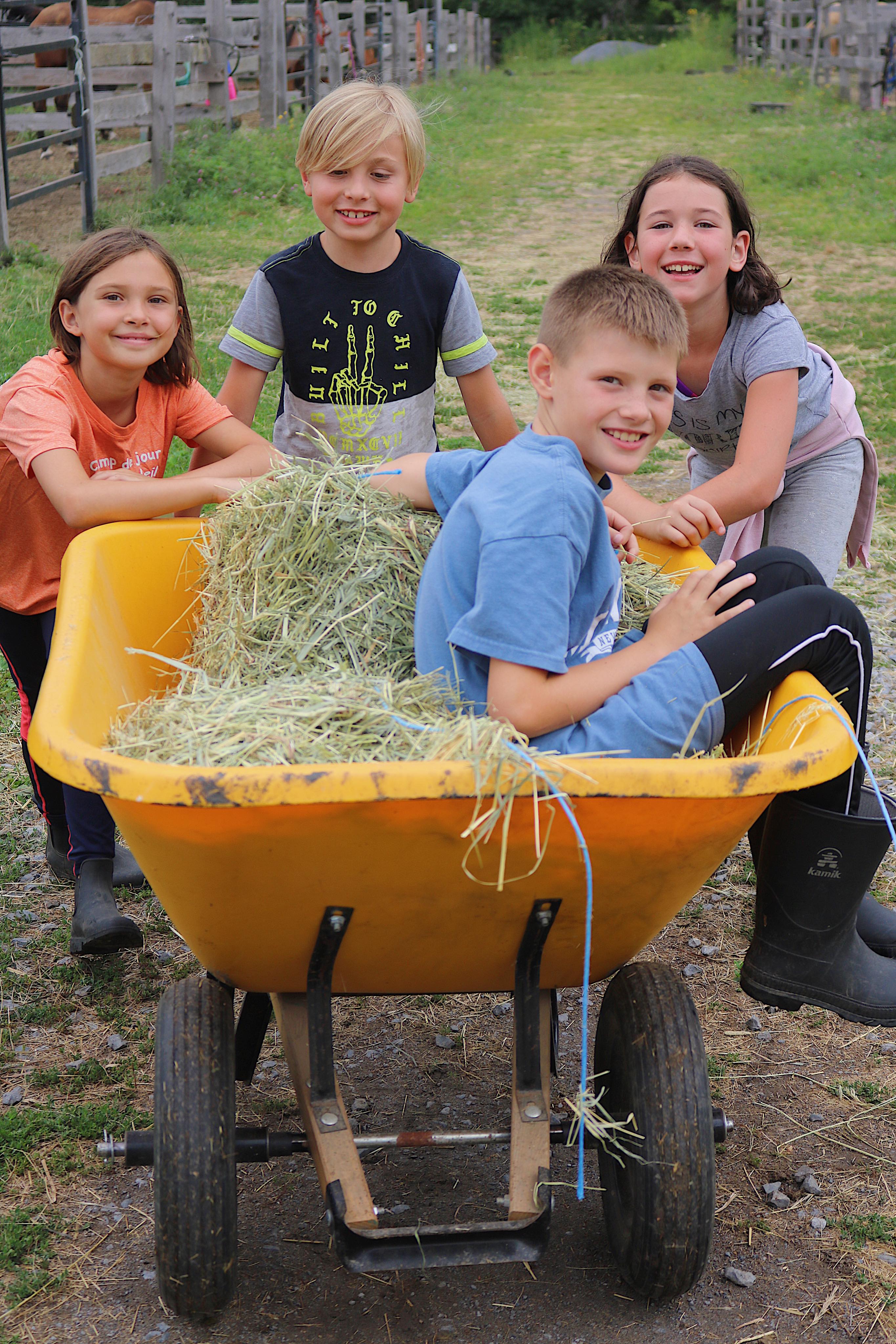 Camp de jour équitation pour enfants Montérégie