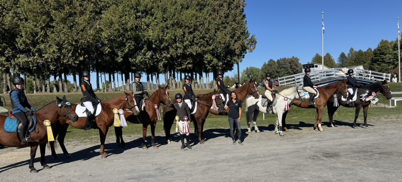 Cavalier en saut d'obstacles