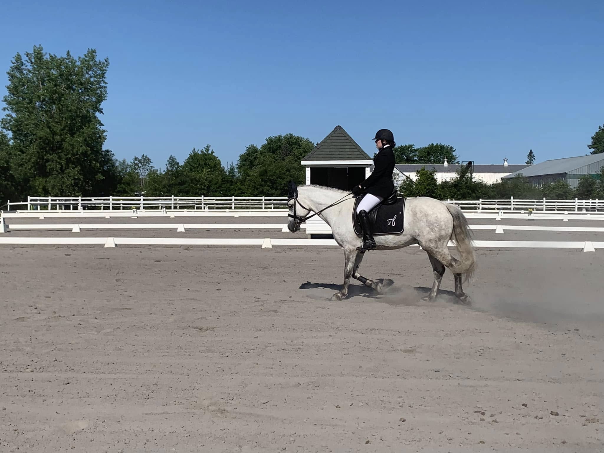 Dressage Initiation