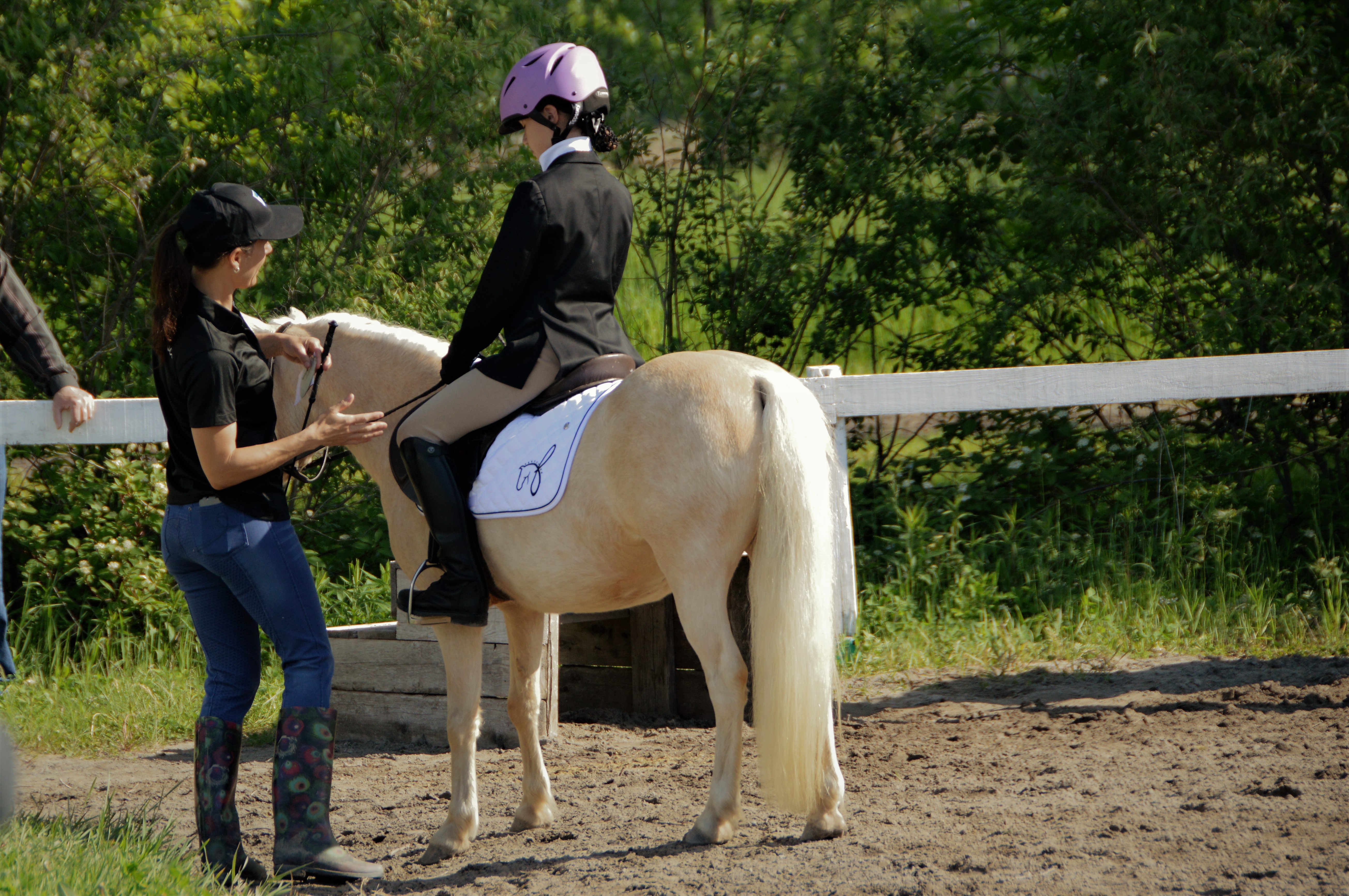 Formation équestre personnalisée