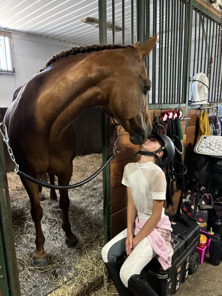 Cours d'équitation classique