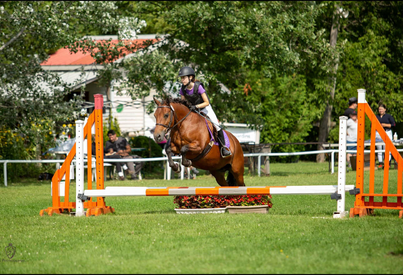 Formation équestre personnalisée Rive-Sud