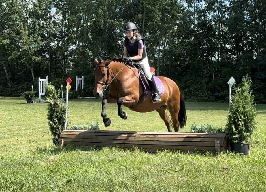 Saut petit obstacle