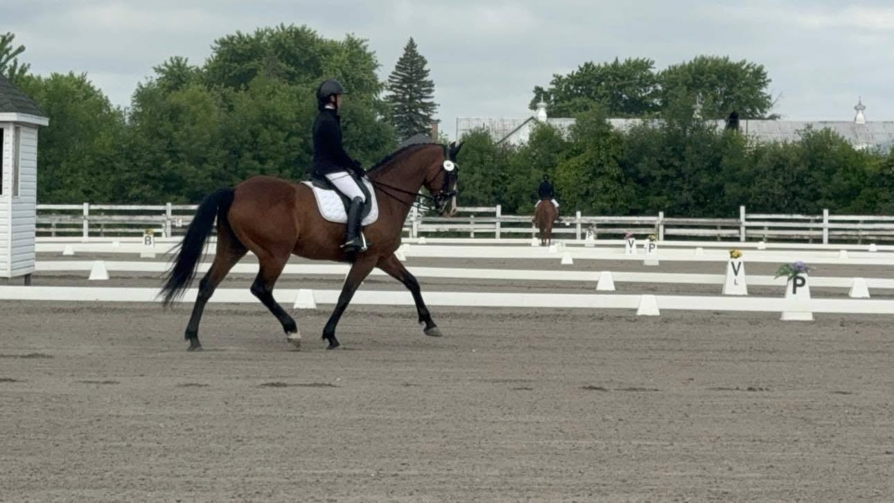 Concours école dressage et saut